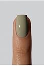 view 4 of 7 Nail Polish in Herbal