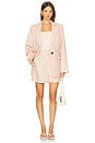 view 5 of 5 Manu Blazer in Rose Dust