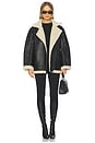 view 5 of 5 Shilina Jacket in Black