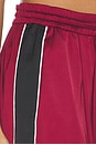 view 6 of 6 Tracey High Waisted Pants in Cabernet