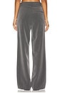 view 4 of 6 PANTALON JOELLE in Grey Pinstripe