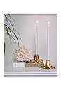 view 6 of 6 Mini Root Candle Holder in Brass
