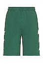 view 1 of 5 Diego Shorts in Bright Green & White