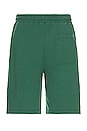 view 2 of 5 Diego Shorts in Bright Green & White