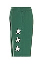 view 3 of 5 Diego Shorts in Bright Green & White