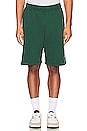 view 4 of 5 Diego Shorts in Bright Green & White