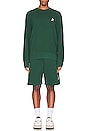 view 5 of 5 Diego Shorts in Bright Green & White