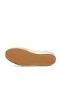 view 7 of 6 Superstar Sneaker in White, Taupe & Red