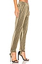 view 2 of 4 PANTALONES DELE in Gold Lurex