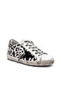 view 2 of 6 Superstar Sneaker in Black Leopard