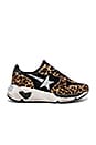 view 1 of 6 Running Sole Sneaker in Leopard & White Star