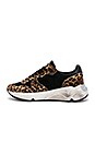 view 5 of 6 Running Sole Sneaker in Leopard & White Star