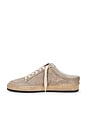view 5 of 6 Ball Star Sneaker in Taupe & Silver