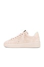 view 5 of 6 Pure Star Sneaker in Moonlight & White