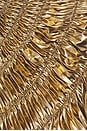 view 5 of 5 The Impression Dress in Gold