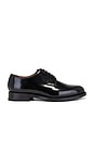 view 1 of 5 Monogram Blucher in Black