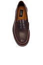 view 4 of 5 1876 Larson Loafer in Brown