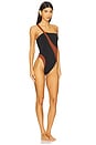 view 2 of 4 Blake One Piece Swimsuit in Black & Cognac
