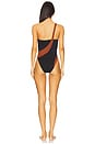 view 4 of 4 Blake One Piece Swimsuit in Black & Cognac