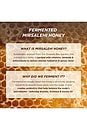 view 2 of 10 Honey Gloss Ceramide Therapy Hydrating Shampoo in 