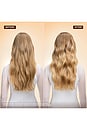 view 4 of 10 Honey Gloss Ceramide Therapy Hydrating Shampoo in 