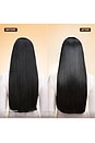 view 6 of 10 Honey Gloss Ceramide Therapy Hydrating Shampoo in 
