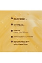view 8 of 10 Honey Gloss Ceramide Therapy Hydrating Shampoo in 