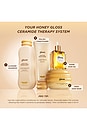 view 9 of 10 Honey Gloss Ceramide Therapy Hydrating Shampoo in 
