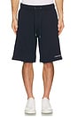 view 4 of 4 Embroidered Shorts in Daring Ocean