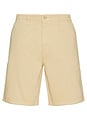 view 1 of 3 Regular Chino Shorts in Safari Tan