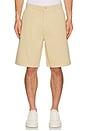 view 3 of 3 Regular Chino Shorts in Safari Tan