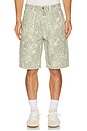 view 1 of 6 Canvas Utility Carpenter Short in Camo