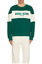 view 4 of 5 Horizon Stripe Sweatshirt in Eternal Green