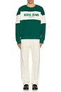 view 5 of 5 Horizon Stripe Sweatshirt in Eternal Green
