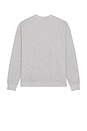 view 4 of 4 Iconic Triangle Sweatshirt in Medium Grey Heather