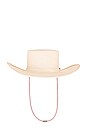 view 3 of 4 x REVOLVE Crystal Band Cowboy Hat in Pink