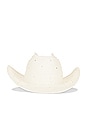view 3 of 3 X Revolve Gene Cowboy Hat in White