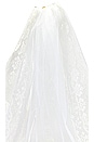 view 6 of 8 Lace Trim Veil in White