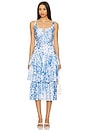 view 1 of 4 Celeste Floral Poplin Dress in Zesty Fl Wht Blue