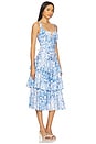 view 2 of 4 Celeste Floral Poplin Dress in Zesty Fl Wht Blue