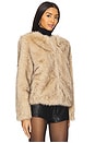 view 3 of 5 Lucas Faux Fur Jacket in Brown & Black