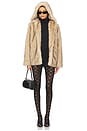 view 5 of 5 Della Faux Fur Hood Jacket in Brown & Black