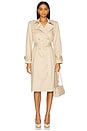 view 1 of 5 Vanna Pearl Trench Coat in Taupe