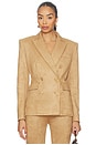 view 1 of 4 Arielle Faux Suede Blazer in Lion