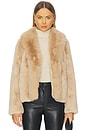 view 1 of 5 Dasha Faux Fur Jacket in Beige