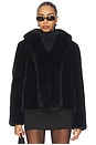 view 1 of 4 Dasha Faux Fur Jacket in Black