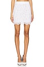 view 1 of 6 Salome Lace Mini Skirt in White