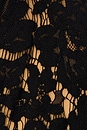 view 5 of 5 Marcello Lace Top in Black