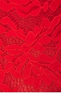 view 6 of 6 Gigi Lace Bodysuit in Flame