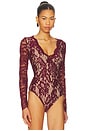 view 3 of 5 Alessia Lace Bodysuit in Cabernet & Beige
